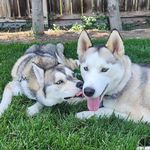 Steven Freitas - @desertbum209 - Instagram