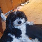 Steven Fricker - @steven_fricker - Instagram