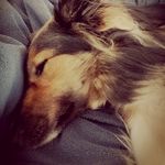 Steve Frith - @mozziephotography - Instagram
