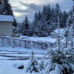 Steve Fullerton - @stevenfullerton62 - Instagram