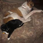 Steven Fullerton - @fullerton4354 - Instagram