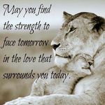 Steven Fullerton - @steven.fullerton.10 - Instagram