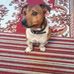 Steven Fulop - Facebook