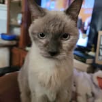 Steven Fultz - @steve.fultz.65 - Instagram