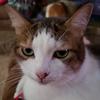 stevenfultz245 - @stevenfultz245 - TikTok