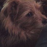 Steven Fürst - @luis.oster.7 - Instagram