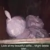 Stephen Gandee - @2170272659 - TikTok