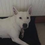 Steven Garey - @stevengarey1234 - Instagram
