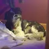 Steven Garmon - @30188360929 - TikTok