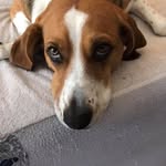 Steven Gaskin - @gaskin39 - Instagram