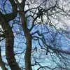 Steven gates - @steven.gates40 - TikTok