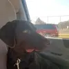 Steven Gates - @stevengates57 - TikTok