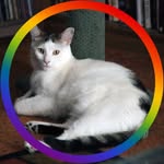Steven Geisler - @geisler.steven - Instagram