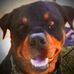 Stephen Gerner - Facebook