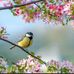 Janae Gerrish-Stevens - Facebook