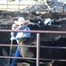 Steve Gholson - Facebook
