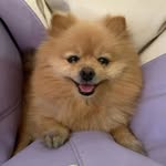 Steven Wesley Gilland - @steven_gilland508 - Instagram
