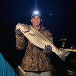 Steven Gladden - @gladden65_ - Instagram