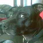 Steven Glen - @steven.glen.35 - Instagram