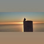 Steven Glen - @steve.g.glen - Instagram