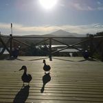 Steven Glynn - @steven.glynn.3 - Instagram