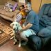 Stephen Gober - Facebook