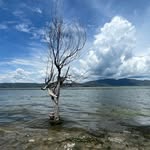 Steven Goh - @goh_steven - Instagram