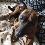 Steven Goodall - Facebook
