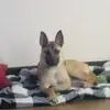 Steven Goodson - @steven.goodson4 - TikTok