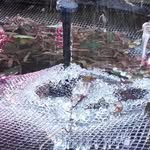 Stephen Gowdy - @stephen.gowdy.581 - Instagram