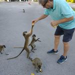Steve Gramlich - @steve.gramlich.1 - Instagram