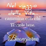Steven Granger - @lavianlaceyy4 - Instagram