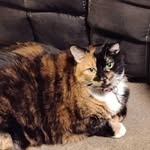 Steven Granger - @steven999078 - Instagram