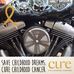 Steve Gratton - Facebook