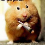 Steven Grebacher - @stevengrebacher - Instagram