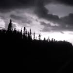 Steven Grenier - @stevengrenier6 - Instagram