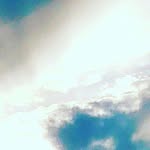 Steven Grenier - @steven_rgrenier - Instagram