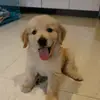 Steven Grey - @steven.grey7 - TikTok