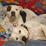 Steven Griffis - @sgriffis1066 - Instagram