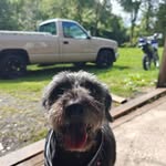 Steven Grillini - @stevengrillini - Instagram