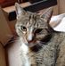 Stefan Grzybowski - Facebook