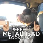 Steve Grzybowski - @scubas67on42s - Instagram