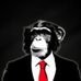 Steve Guilbault - Facebook