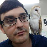 Stephen Guise - @stephenguise - Instagram