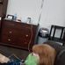 Steven Gurley - Facebook