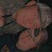 Steven Gurley - Facebook