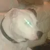 STEVEN GUSTAFSON - @steven.gustafson3 - TikTok