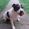 Steven Guth - @steven.guth - TikTok