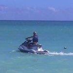 Steveo Gutkin - @stevegutkin - Instagram