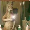 Steven Guzman - @steven.guzman64 - TikTok